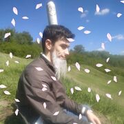 ���������� �����, ���� ����� �������, 23 ����, ������������ ��� ������, ����� � ���������, c�������� ���������