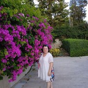 ���������� �����������, ���� ������� �������, 49 ���, ������������ ��� ����� � ���������, c�������� ���������, ���������