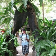 ���������� ����-�����������, ���� ������� CheBuraschka, 41 ���, ������������ ��� ������, ���������