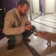 ���������� ������, ���� ������� ����������, 47 ���, ������������ ��� ������, ����� � ���������, c�������� ���������