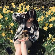 ���������� ������, ���� ������� ��������, 26 ���, ������������ ��� ���������