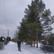 ���������� �����-���������, ���� ������� ���������, 38 ���, ������������ ��� ������, ����� � ���������, c�������� ���������