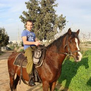  Ashqelon,   , 33 ,   
