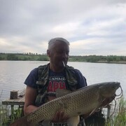 ���������� �����, ���� ������� �������, 47 ���, ������������ ��� ������, ����� � ���������, c�������� ���������