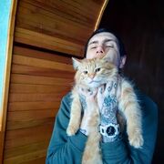  ,   , 33 ,   ,   , 