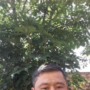  ,   , 41 ,     , c 