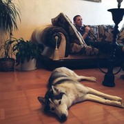 ,   Pavel, 40 ,     , c 