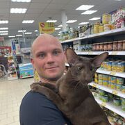 ���������� �����������, ���� ������� �����, 34 ����, ������������ ��� ������, ����� � ���������