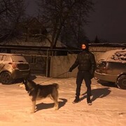 ���������� ������, ���� ������� �����, 29 ���, ������������ ��� ������, ����� � ���������