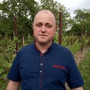  ,  ivan, 43