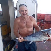  ,   , 56 ,   , c , 