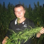 ���������� �����-���������, ���� ������� �������, 39 ���, ������������ 