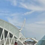 ���������� Hahn, ���� ������� �������, 43 ����, ������������ ��� ������, ����� � ���������