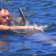 ���������� ����, ���� ������� �����, 43 ����, ������������ ��� ������, ����� � ���������