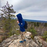 ���������� �����, ���� ������� ���������, 41 ���, ������������ ��� ����� � ���������, c�������� ���������, ���������