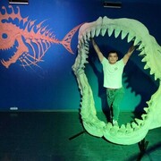 ���������� ���������, ���� ������� ����, 33 ����, ������������ ��� ������, ����� � ���������, c�������� ���������