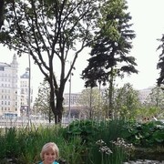 ���������� �����������, ���� ������� ����, 72 ����, ������������ ��� ������, ����� � ���������, c�������� ���������