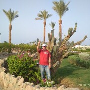 ���������� �������, ���� ������� �������, 59 ���, ������������ ��� ����� � ���������, c�������� ���������