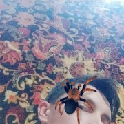  ,   , 29 ,   ,   , c , 