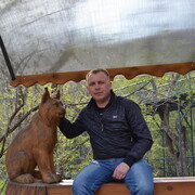 ���������� �������, ���� ������� ������������, 36 ���, ������������ ��� ������, ����� � ���������