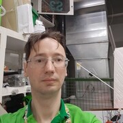 ���������� ������, ���� ������� ��������, 39 ���, ������������ ��� ������, ����� � ���������, c�������� ���������