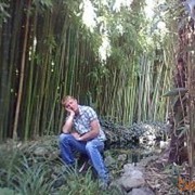  -,   , 44 ,   