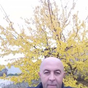  ,  , 54