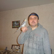  ,   , 52 ,   ,   , c 