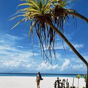 ���������� ������, ���� ������� �����, 28 ���, ������������ ��� ����� � ���������, c�������� ���������, ���������