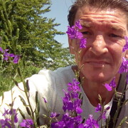 ���������� �����������, ���� ������� �������, 48 ���, ������������ ��� ������, ����� � ���������, c�������� ���������