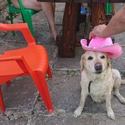  ,   , 44 ,   ,   , c , 