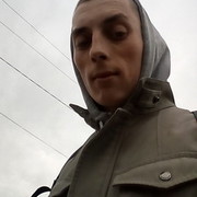  ,   Kolibri, 31 ,     , c 