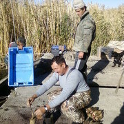 ���������� ������, ���� ������� ������, 67 ���, ������������ ��� ������