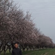 ,   Zokirbek, 31 ,   ,   , c 