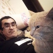 ���������� ���, ���� ������� ��������, 37 ���, ������������ ��� ������, ����� � ���������, c�������� ���������, ���������