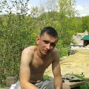  --,   , 41 ,   