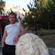 ,   , 52 ,  