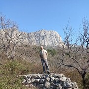  ,   , 39 ,     , c 