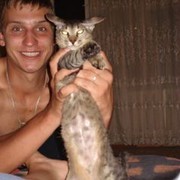 ���������� �������, ���� ������� �����, 38 ���, ������������ ��� ������