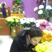 ���������� ������������, ���� ������� Salim, 31 ���, ������������ ��� ������, ����� � ���������, c�������� ���������