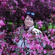 ���������� ������, ���� ������� �������, 53 ����, ������������ ��� ����� � ���������, c�������� ���������