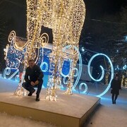 ���������� �����������, ���� ������� ����, 37 ���, ������������ ��� ������, ����� � ���������, c�������� ���������