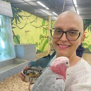 ���������� ����� �������, ���� ������� ������, 48 ���, ������������ ��� ������, ����� � ���������, c�������� ���������, ���������