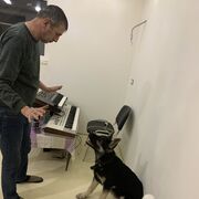  ,   , 47 ,   ,   