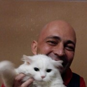 ���������� ������������, ���� ������� ���������, 43 ����, ������������ ��� ������, ����� � ���������, c�������� ���������