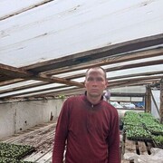  ,   , 34 ,   c 