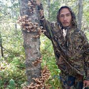 ���������� ���������, ���� ������� �������, 36 ���, ������������ ��� c�������� ���������, ���������