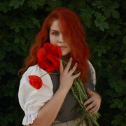 ���������� ������ ��������, �����