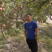 ���������� ����������, ���� ������� ����, 28 ���, ������������ ��� ������, ����� � ���������