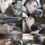 ���������� �������, ���� ������� ����, 38 ���, ������������ ��� ������, ����� � ���������, c�������� ���������